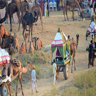 Pushkar Fair Trip